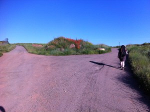 "fork" in the Camino