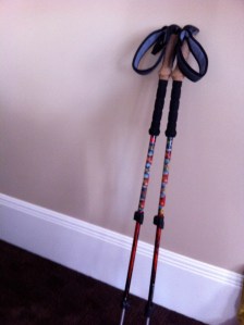 Black Diamond Trekking Poles