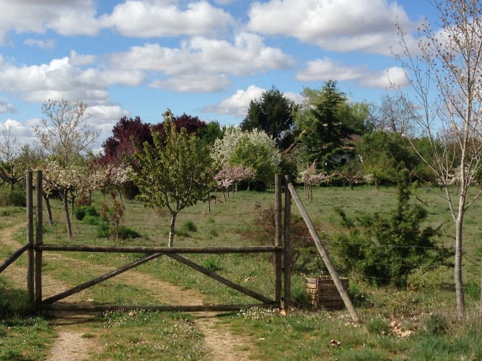 Almost to Mansilla de las Mulas